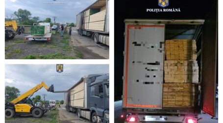 FOTO. Amplă acțiune a polițiștilor împotriva hoților de lemn din Ileanda și Crasna