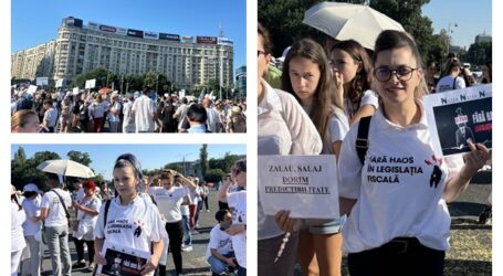FOTO. Zeci de contabili din Sălaj protestează astăzi la București, alături de colegii lor din întreaga țară