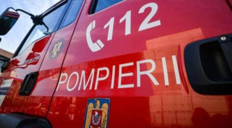 Autoritățile caută în disperare un bărbat care a dispărut fără urmă în comuna Cuzăplac