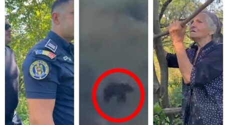VIDEO. O bătrânică, atacată de un URS în comuna Ileanda. Poliția, jandarmii și primarul au sărit în ajutor