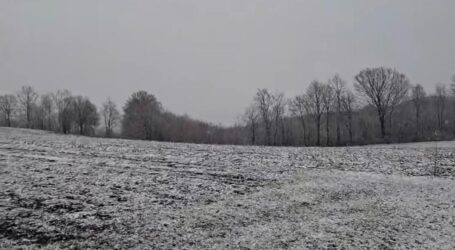 VIDEO. Ninge în mai multe zone din Sălaj
