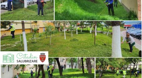 FOTO. Programul de cosire a spațiilor verzi din Zalău