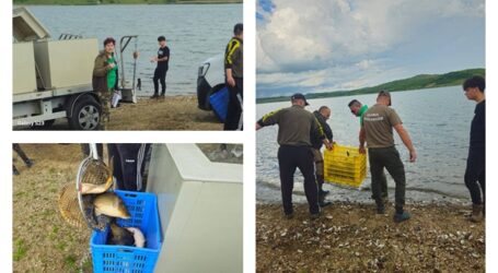 Lacul Vârșolț, populat cu 2.500 de kilograme de crap