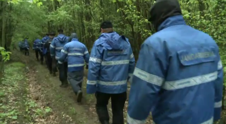 Căutări în zona Jibou: o tânără mamă, alături de copilul său de 5 ani s-au rătăcit în pădurea din Husia