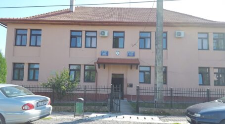 Angajații Primăriei Năpradea, grevă japoneză