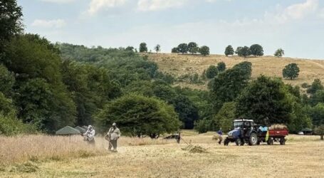 Echipele Citadin asigură terenul pentru desfășurarea Zalău Ultra Trail