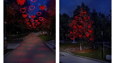 FOTO. Aleea și copacul dragostei în Zalău. Modul INEDIT în care se transformă o zonă din Parcul Central