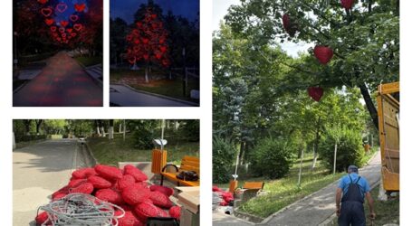 FOTO. Se amenajează aleea și copacul dragostei din Parcul Central din Zalău – zeci de inimioare vor lumina zona