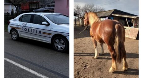 Cal de 3.000 de euro, furat din comuna Sâg