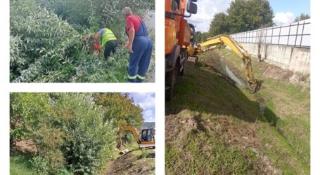 Citadin Zalău curăță Valea Sărmaș și Valea Meseș