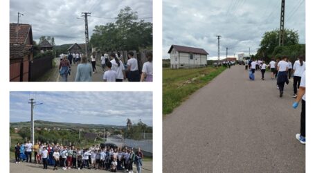 Primăria Marca, elevii şi profesorii din comună – amplă acţiune de ecologizare