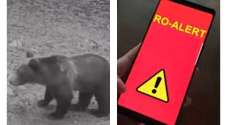 Mesaj RO-ALERT: urs în sat, în Nădășelu