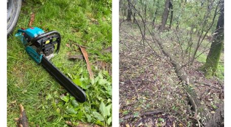 FOTO. Bărbat, prins la furat lemne în Panic. Jandarmii i-au confiscat motofierăstrăul