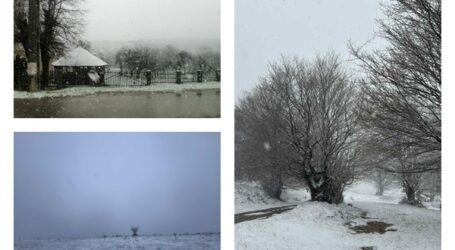 VIDEO. Ninge puternic pe Măgura Priei, dar și în sat – s-a depus strat de zăpadă de peste 3 centimetri