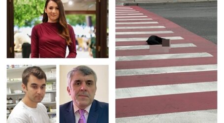 OAMENI! Un șofer a lovit un câine pierdut în centrul Zalăului, apoi a plecat. Oamenii cu suflet mare s-au oprit și au ajutat animalul care agoniza