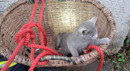 FOTO. O pisică, salvată de pompierii din Ileanda, după ce a căzut într-o fântână la 13 metri adâncime