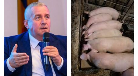 Fratele europarlamentarului Buda, prădat de hoți în satul Păușa: i-au furat un porc pe care l-au sacrificat la el în curte