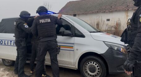 Un bărbat din Treznea a furat 35 de miei dintr-o turmă din Românași
