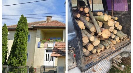 Polițiștii din Crasna au prins un tânăr care a furat 1,8 metri cubi de lemn