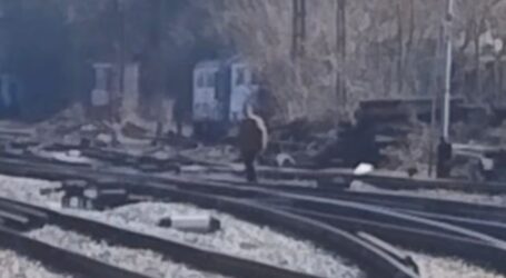 VIDEO. Un bărbat cu probleme a aruncat cu pietre după călători în Gara Jibou. Poliția a intervenit prompt și l-a dus la sediu