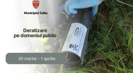 În Zalău, deratizare pe domeniul public