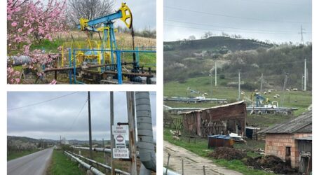 A vrut apă și a dat de petrol. Povestea incredibilă a singurului loc din Sălaj unde țițeiul iese la suprafață în mod neașteptat