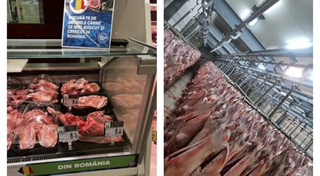 Cât costă mielul de Paște în Sălaj. Prețul ajunge la 50 de lei/kg, direct de la producători și în abatorul din Hereclean