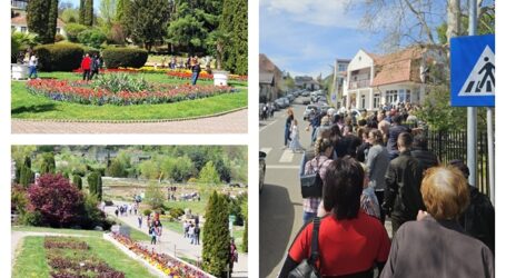 Număr RECORD de turiști într-o singură zi la Grădina Botanică „Vasile Fati” din Jibou