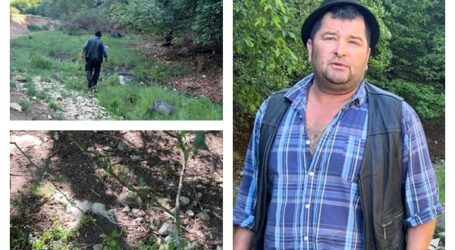 VIDEO. Mărturia bărbatului din Sălaj care a ucis un urs cu toporul: „ei mă condamnă că l-am omorât, dar altfel muream eu și atunci cui îi făcea dosar?”