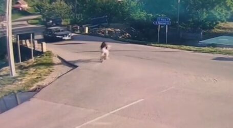 VIDEO. Momentul impactului, făcut public de polițiști. Într-o clipă de neatenție, două fetițe pe bicicletă, lovite într-o intersecție din Sălaj