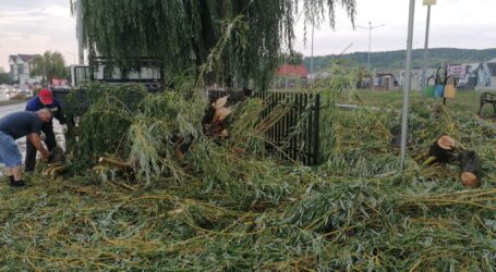 Echipele Citadin Zalău sunt la datorie și intervin pentru înlăturarea efectelor produse de vijelie