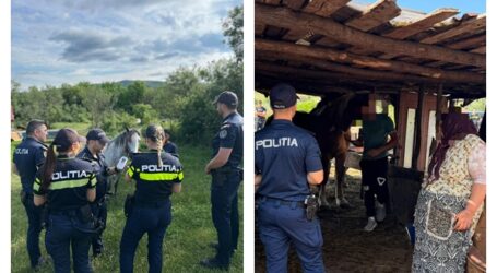 Zeci de animale verificate de Poliția Animalelor din Sălaj. Proprietarii au fost sancționați