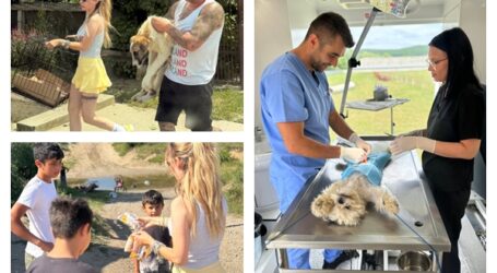 Oameni, animale și mult suflet: campania care a unit o comunitate din Sălaj. O lecție de omenie oferită de Alexandra Pașca, Raul Negritaș și voluntari