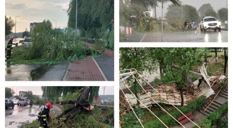 FOTO. Vijelia a făcut pagube în Zalău: copaci doborâți pe carosabil și acoperiș distrus la un bloc