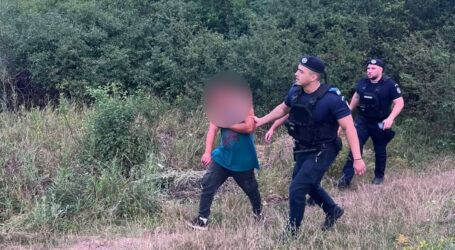Tâlhărie în Borla – doi tineri au atacat un minor din Ungaria