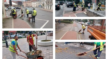 FOTO. După vijelie, angajații Citadin Salubrizare au readus rapid orașul la normal. În doar câteva ore, urmele furtunii au fost înlăturate