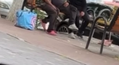 Scene șocante într-un parc din Zalău: acuzații de acte sexuale în plină zi, în fața copiilor