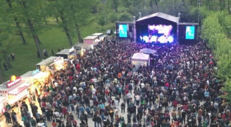 Festival în Poiana Aghireș. Zile pline de activități, muzică electronică și distracție