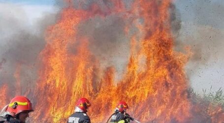 Incendiu puternic în Romita. O persoană a ajuns la spital cu arsuri, trei case au fost la un pas să fie cuprinse de flăcări
