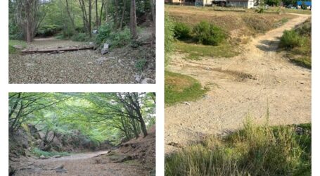 FOTO. Râurile Sălajului, secate