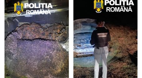 FOTO. Cum se fură cupru în Sălaj. Mai mulți tineri, prinși în timp ce au dat foc la mai multe cabluri