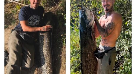 FOTO. Captură uriașă pe Someș. Un tânăr pescar din Zalău a prins un somn de peste 30 kilograme