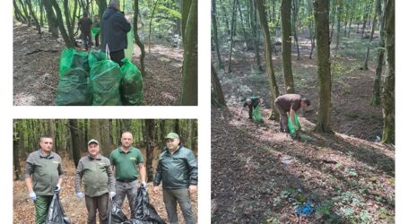 O tonă de gunoi, strânsă din pădurile Sălajului de pădurari și voluntari