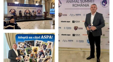 Viceprimarul Călin Forț caută soluții pentru problema animalelor din Zalău. Edilul participă la Animal Summit România