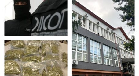 Peste 10.000 de euro și 2,6 kilograme de droguri, confiscate prin decizia Tribunalului Sălaj. Pedepse de până la 10 ani și 4 luni de închisoare pentru patru inculpați