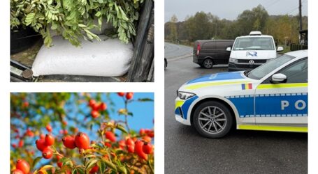 Poliția dezvăluie povestea celor 350 de kilograme de măceșe confiscate între Jibou și Var. Bărbatul a fost amendat pentru că le-a cules „fără acordul proprietarului”