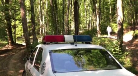 ULTIMA ORĂ! Accident misterios pe Meseș: a intrat cu mașina într-un copac, apoi a dispărut