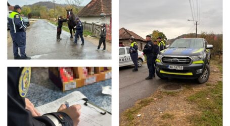 FOTO. Polițiștii au împânzit străzile din Jibou și din jurul orașului. Ce au căutat anchetatorii