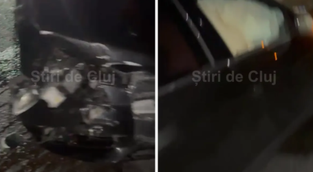 Urs lovit mortal de o mașină pe un drum în apropiere de Sălaj